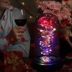 Rose Gifts for Mom from Daughter, Mom Gifts for Her, Colorful Red Light Up Rose in A Glass Dome with Colorful Light,Graduation Gifts for Girl Anniversary Red