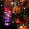 Rose Gifts for Mom from Daughter, Mom Gifts for Her, Colorful Red Light Up Rose in A Glass Dome with Colorful Light,Graduation Gifts for Girl Anniversary Red