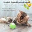 Smart Interactive Cat Toy, Automatic Moving Rolling Ball for Indoor Cats, Peppy Cat Toy with Lights/Sound Simulation Bird,1 Pack