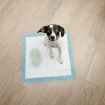 Floofi Pet Disposable Pad 50pcs pack FI-LM-112-ZM