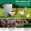 Auto Chicken Feeder 25L Automatic Hen Poultry Food Dispenser Rat Bird Rain Proof Steel Duck Goose 6 Feeding Ports