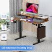 Electric Standing Desk LED Computer Sit Stand Up Table Height Adjustable RGB Light Storage Drawers Motorised Monitor Shelf