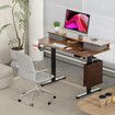 Electric Standing Desk LED Computer Sit Stand Up Table Height Adjustable RGB Light Storage Drawers Motorised Monitor Shelf