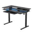 LED Gaming Standing Desk Sit Stand Up Table Electric Motorised Height Adjustable Carbon Fiber RGB Light Monitor Shelf Drawer