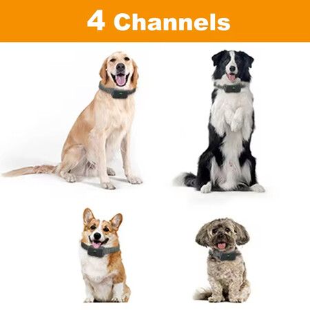 https://img.crazysales.com.au/products_pictures/330/330688_2892311_F.jpg