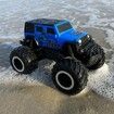 1:16 RC Pick-up Car Truck Toys Remote Control Cars Body Waterproofing Suitable for All Terrain 4WD Off-Road Car Gifts Presents for Boys/Girls Ages 3+ (Blue)