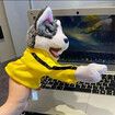 2Pcs Kung Fu Animal Toy Husky Gloves Doll Children's Game Plush Toys Kids Boxing Hand Puppet Stuffed Hand Puppet