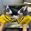 2Pcs Kung Fu Animal Toy Husky Gloves Doll Children's Game Plush Toys Kids Boxing Hand Puppet Stuffed Hand Puppet