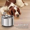 FLOOFI 2L Stainless Steel Pet Water Fountain for Cats and Small Dogs FI-WD-115-FT