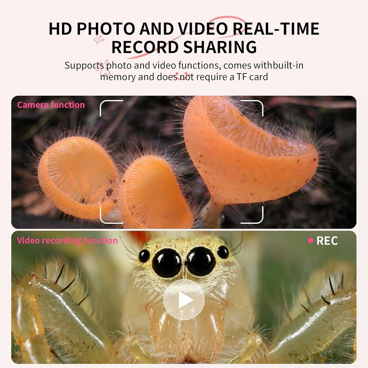 https://img.crazysales.com.au/products_pictures/331/331064_2896202_F.jpg