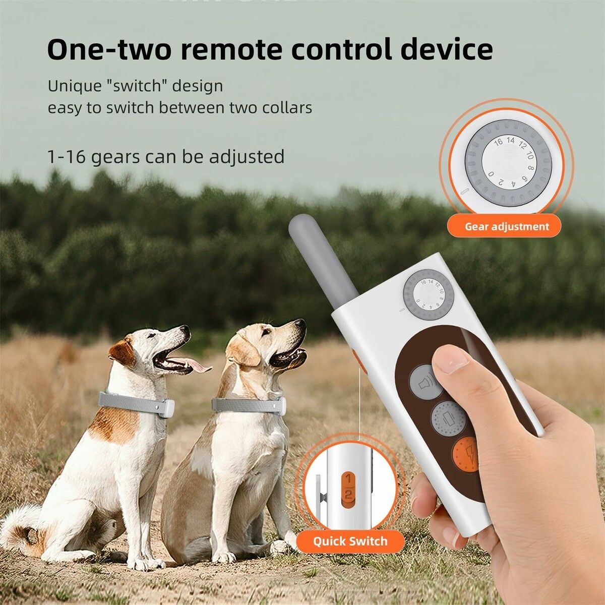 https://img.crazysales.com.au/products_pictures/331/331082_2896363_F.jpg