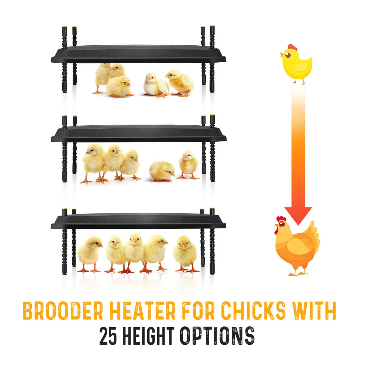 https://img.crazysales.com.au/products_pictures/331/331155_2896940_F.jpg