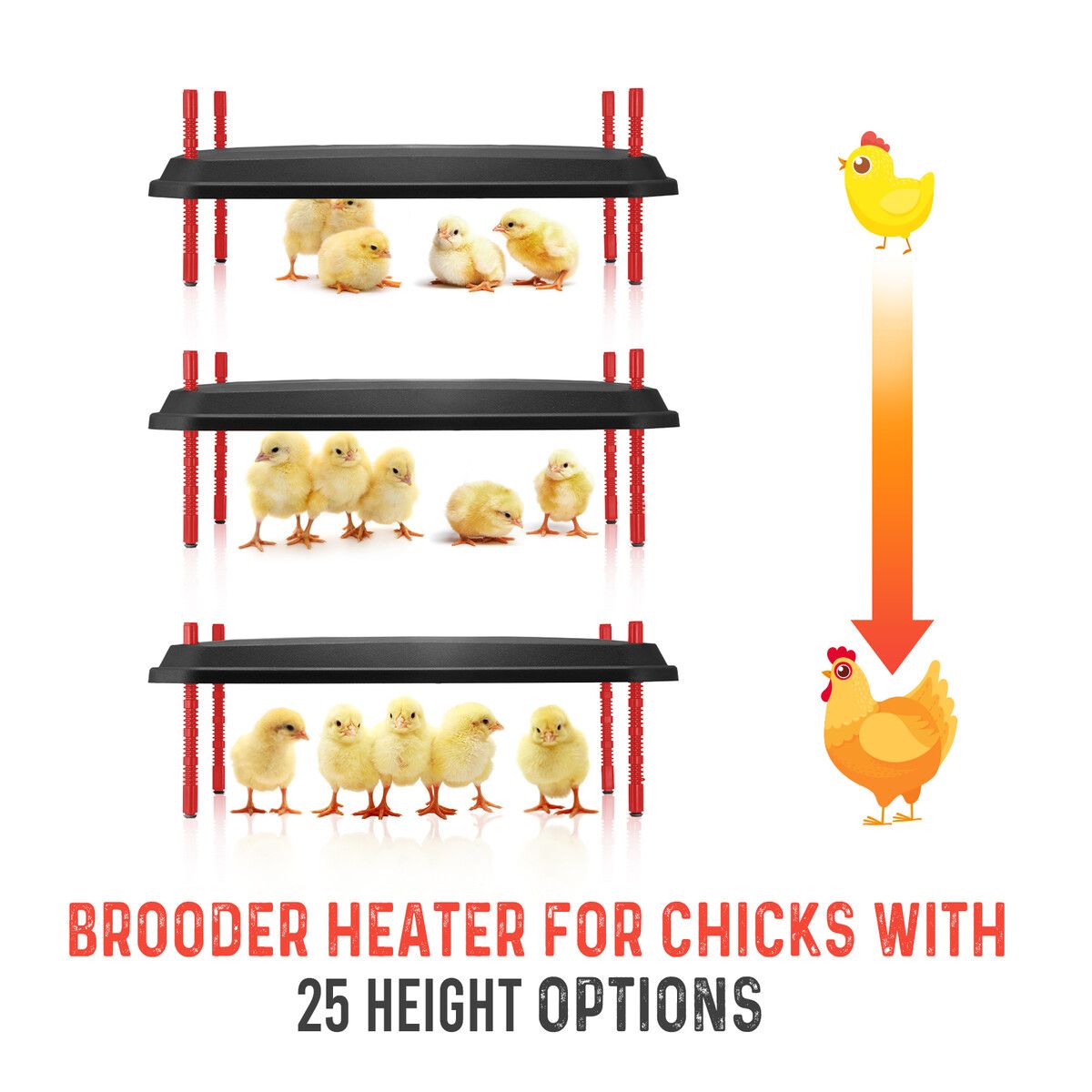 https://img.crazysales.com.au/products_pictures/331/331156_2896962_F.jpg