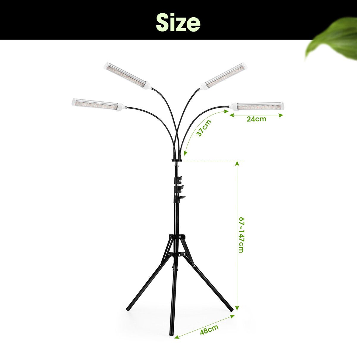 https://img.crazysales.com.au/products_pictures/331/331453_2899742_F.jpg