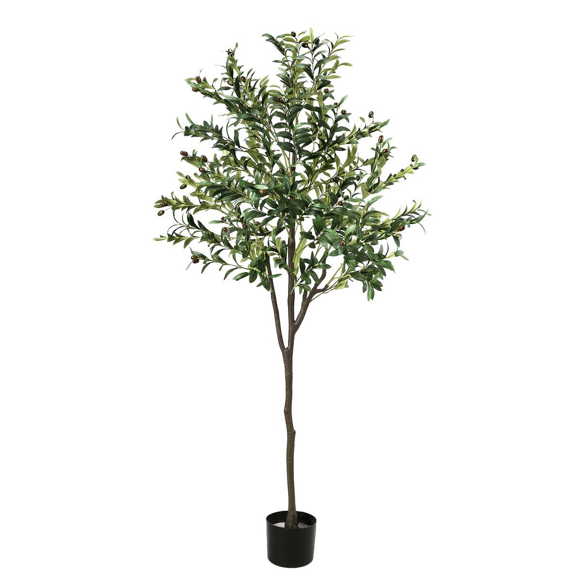 https://img.crazysales.com.au/products_pictures/331/331632_2901256_F.jpg