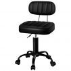 ALFORDSON Salon Stool Backrest Swivel Barber Hair Dress Chair Lina All Black