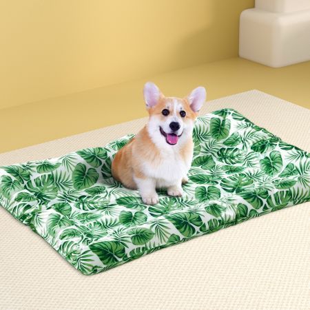 https://img.crazysales.com.au/products_pictures/3314/331426_2899544_F.jpg