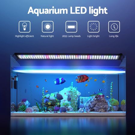 https://img.crazysales.com.au/products_pictures/3315/331582_2900563_F.jpg