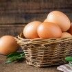 Wooden Fake Eggs Nesting Dummy Laying Hen Agricultural Tool 6 Pcs Farm Nest Laying Hatch Box Training