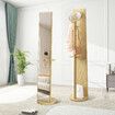 Full Length Mirror Floor Free Standing Tall Long Body Dressing Bedroom Hallway Coat Rack Rotatable Vintage with Storage Oak