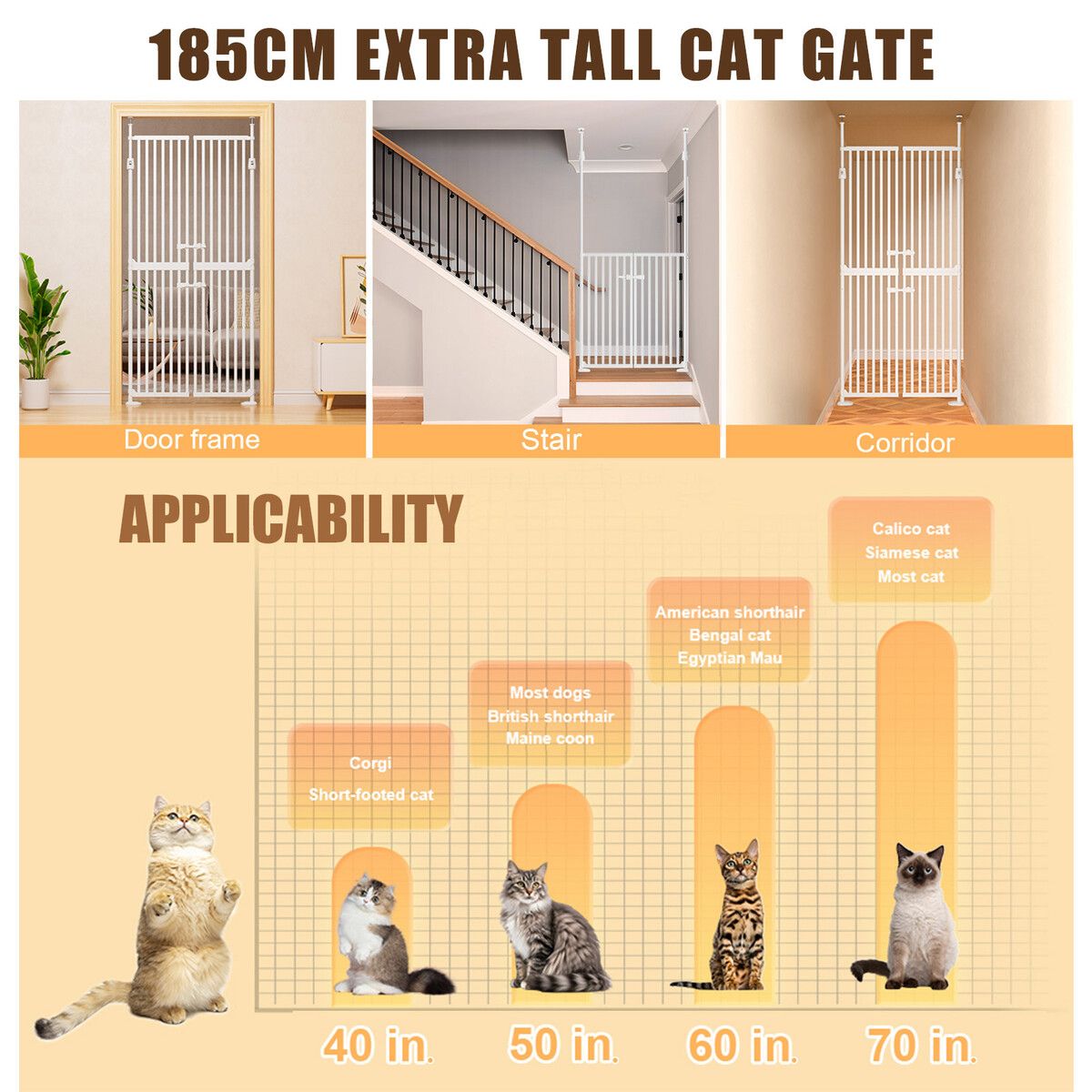https://img.crazysales.com.au/products_pictures/332/332684_2912390_F.jpg
