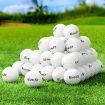 Everfit 48pcs Golf Ball Set Reusable Distance Golf Balls Practice Training