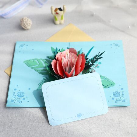https://img.crazysales.com.au/products_pictures/333/333398_2919849_F.jpg