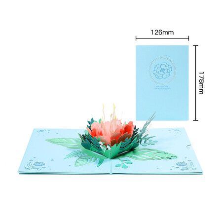 https://img.crazysales.com.au/products_pictures/333/333398_2919850_F.jpg