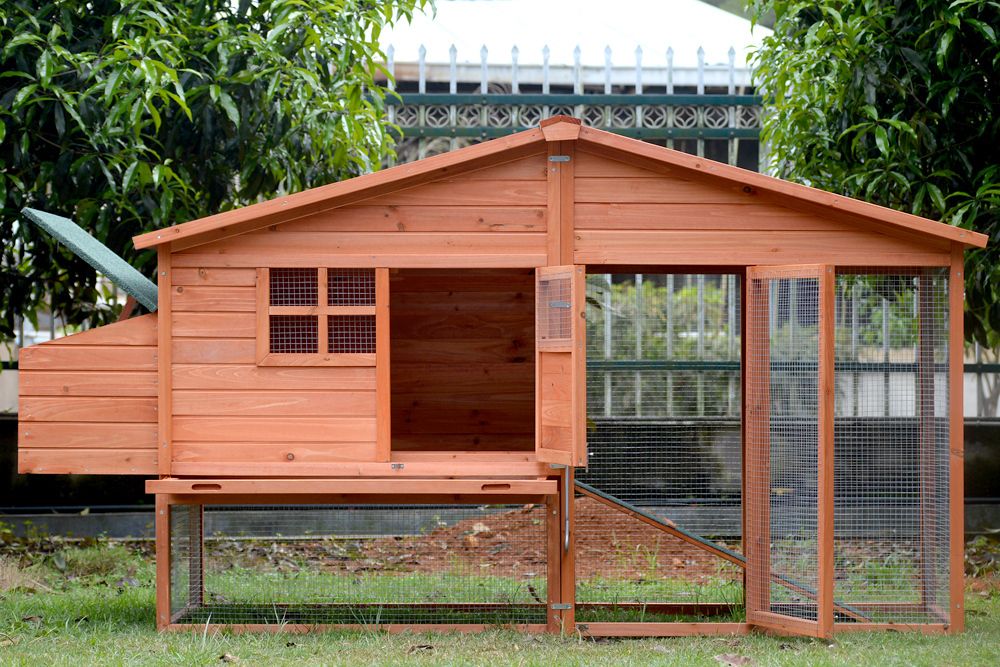 YES4PETS XL Chicken Coop Rabbit Guinea Pig Hutch Ferret Hen House - Chicken Coop And Guinea Pig Integration Tips
