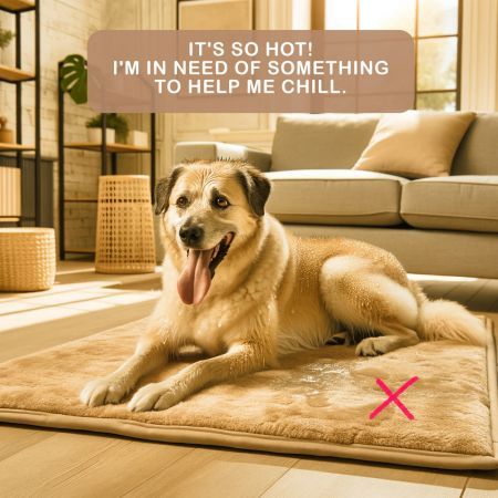 https://img.crazysales.com.au/products_pictures/3339/333955_2927180_F.jpg