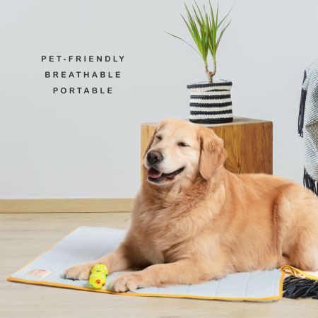 https://img.crazysales.com.au/products_pictures/3339/333957_2927196_F.jpg