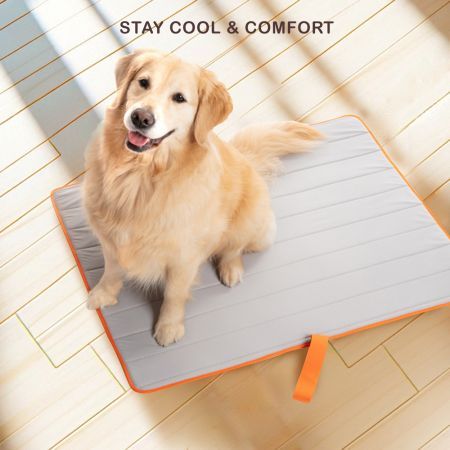 https://img.crazysales.com.au/products_pictures/3339/333959_2927220_F.jpg