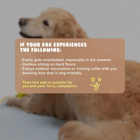 https://img.crazysales.com.au/products_pictures/3339/333960_2927224_F.jpg