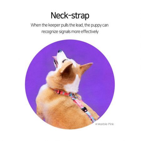 https://img.crazysales.com.au/products_pictures/3339/333962_2927123_F.jpg