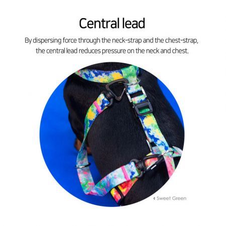 https://img.crazysales.com.au/products_pictures/3339/333963_2927137_F.jpg