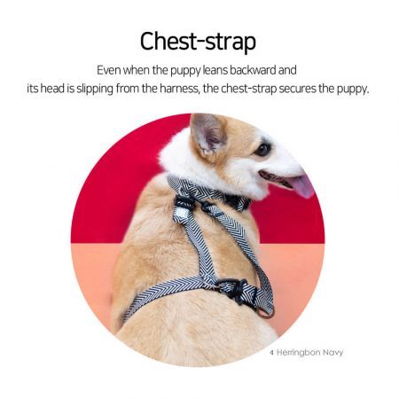 https://img.crazysales.com.au/products_pictures/3339/333965_2927146_F.jpg