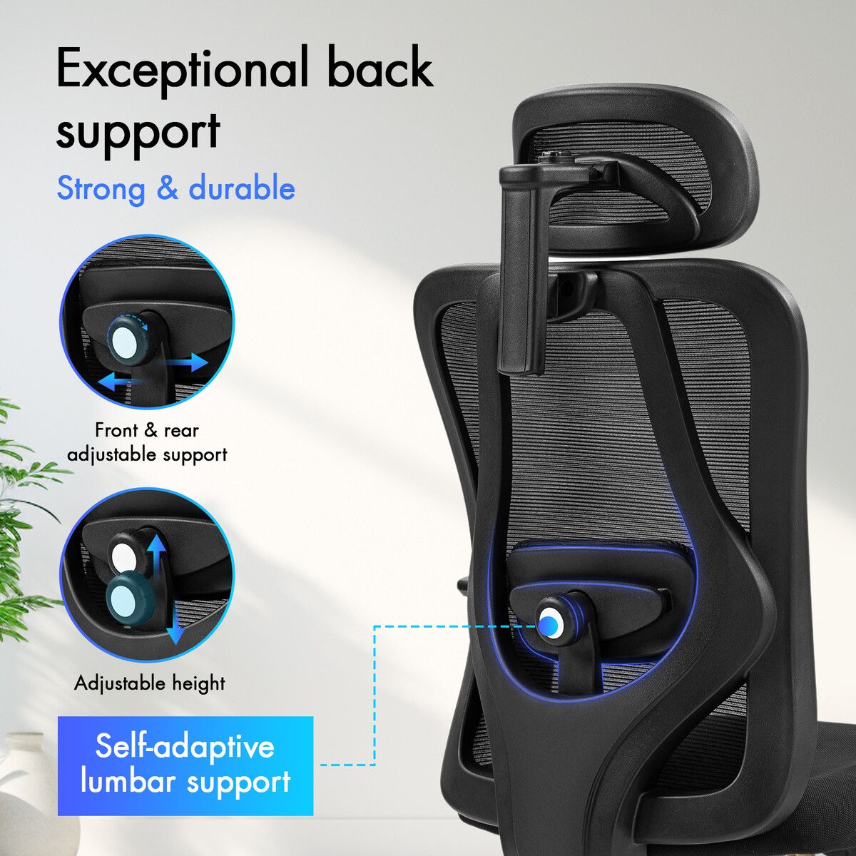 https://img.crazysales.com.au/products_pictures/334/334754_2934660_F.jpg