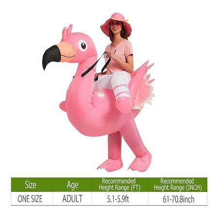 https://img.crazysales.com.au/products_pictures/335/335113_2938043_F.jpg