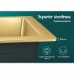 ALFORDSON Kitchen Sink Stainless Steel Drop in Flush Under Mount 340X310MM Gold