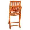 Folding Garden Chairs 8 pcs Solid Eucalyptus Wood