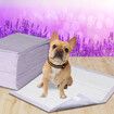 400x Pet Dog Toilet Training Pad