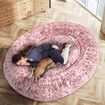 Memory Foam Pet Bed Pink