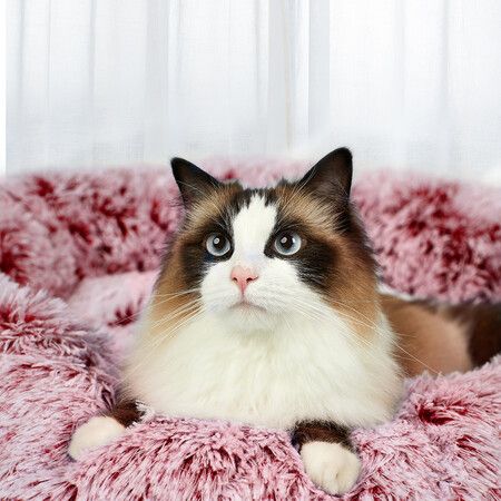 https://img.crazysales.com.au/products_pictures/338/338466_2969168_F.jpg