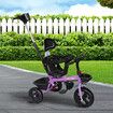 Kids Tricycle Ride On Trike Toddler Purple