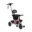 Kids Tricycle Ride On Trike Toddler Pink