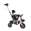 Kids Tricycle Ride On Trike Toddler Pink