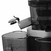 Slow Juicer Cold Press Whole Black