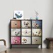 9 Chest of Drawers Storage Cabinet