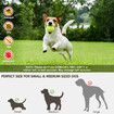 Automatic Ball Launcher for Small and Medium Dogs, Indoor and Outdoor Tennis Ball Thrower, 6PCS Mini Tennis Balls,Orange