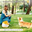 Automatic Ball Launcher for Small and Medium Dogs, Indoor and Outdoor Tennis Ball Thrower, 6PCS Mini Tennis Balls,Orange